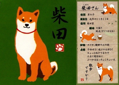 Must See If You Love Dogs 7 Shiba Inu Goods We Carefully Selected