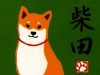 [Must See If You Love Dogs] 7 Shiba Inu Goods We Carefully Selected!